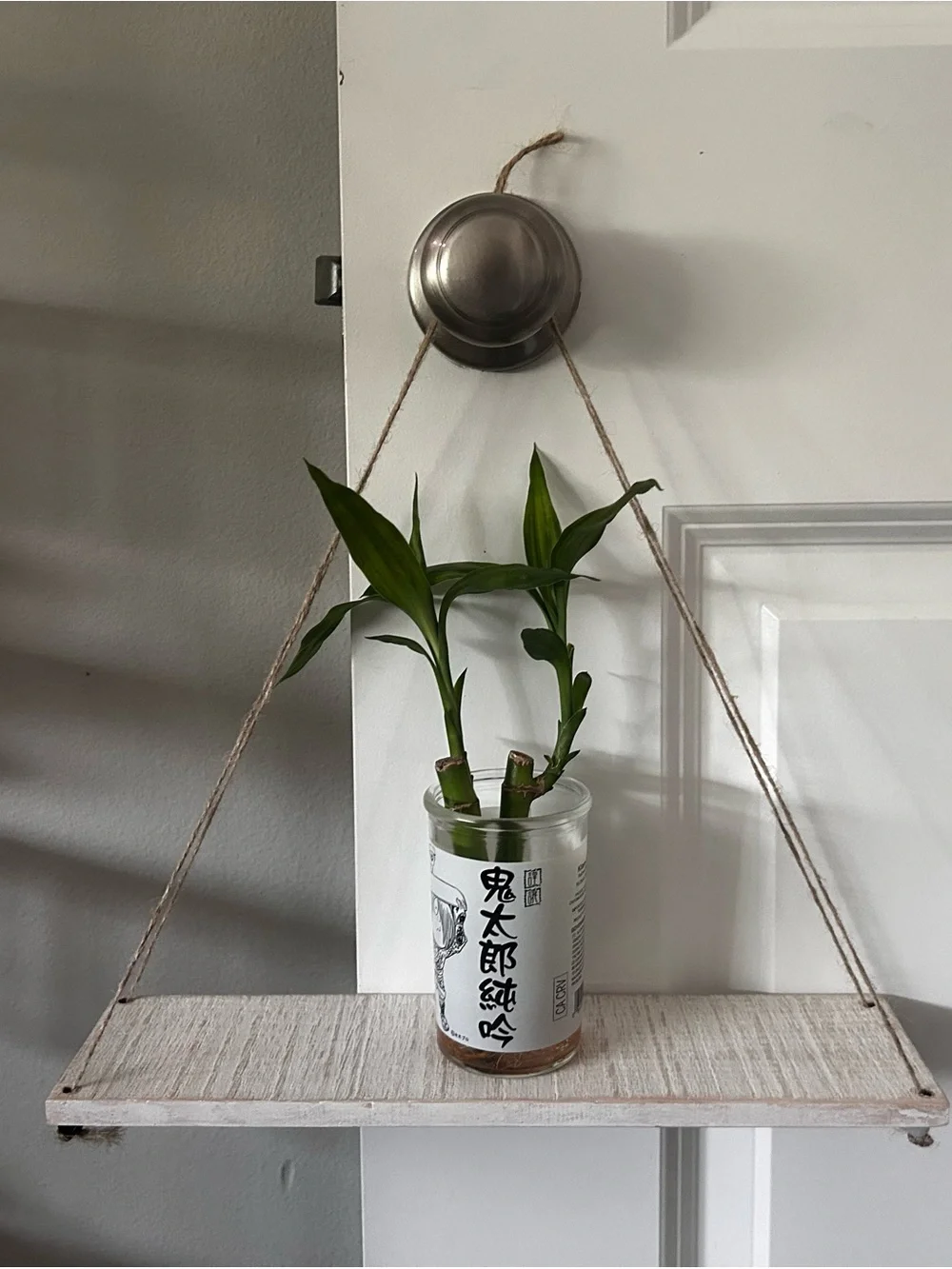 Hanging Wooden Shelf with Glass Planter - Green